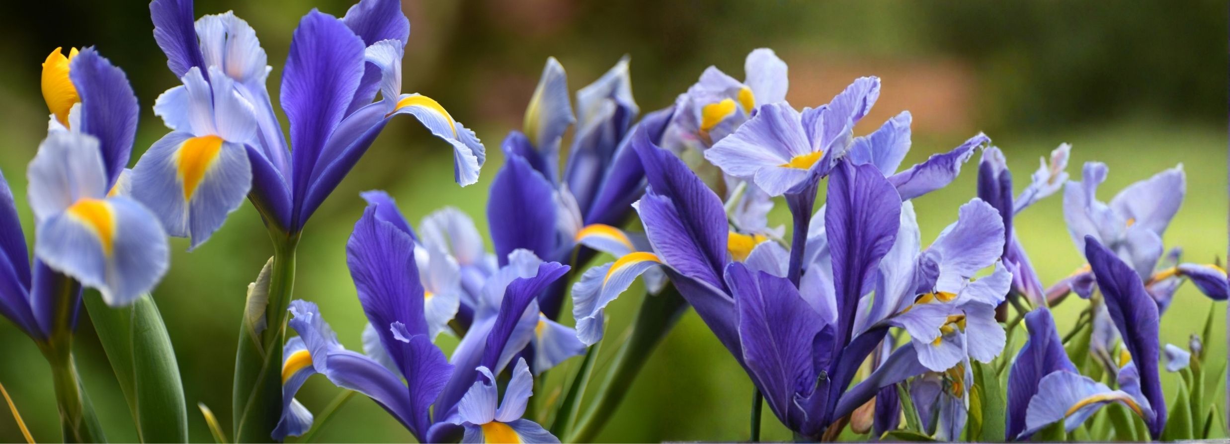 Dr. Cara Hartz, Holistic Primary Care Doctor Seattle, WA